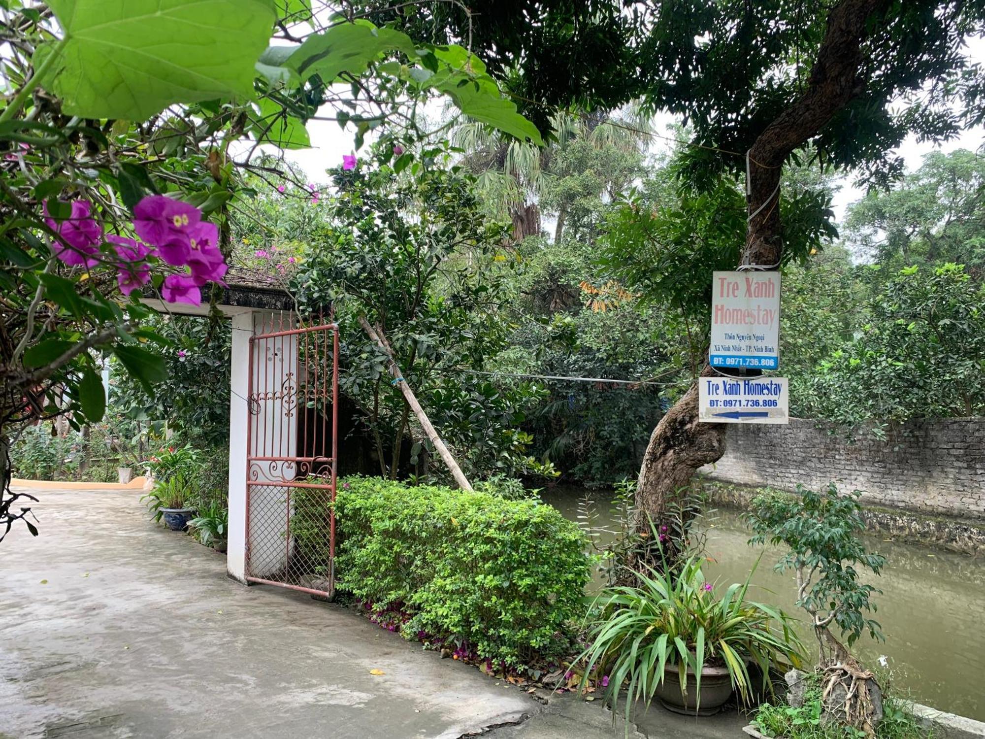 Tre Xanh Homestay Ninh Binh Exterior photo